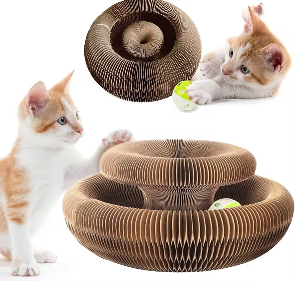 Foldable Magical Cat Scratch Toy – Shape‑Shifting Fun for Your Feline! 🐱✨