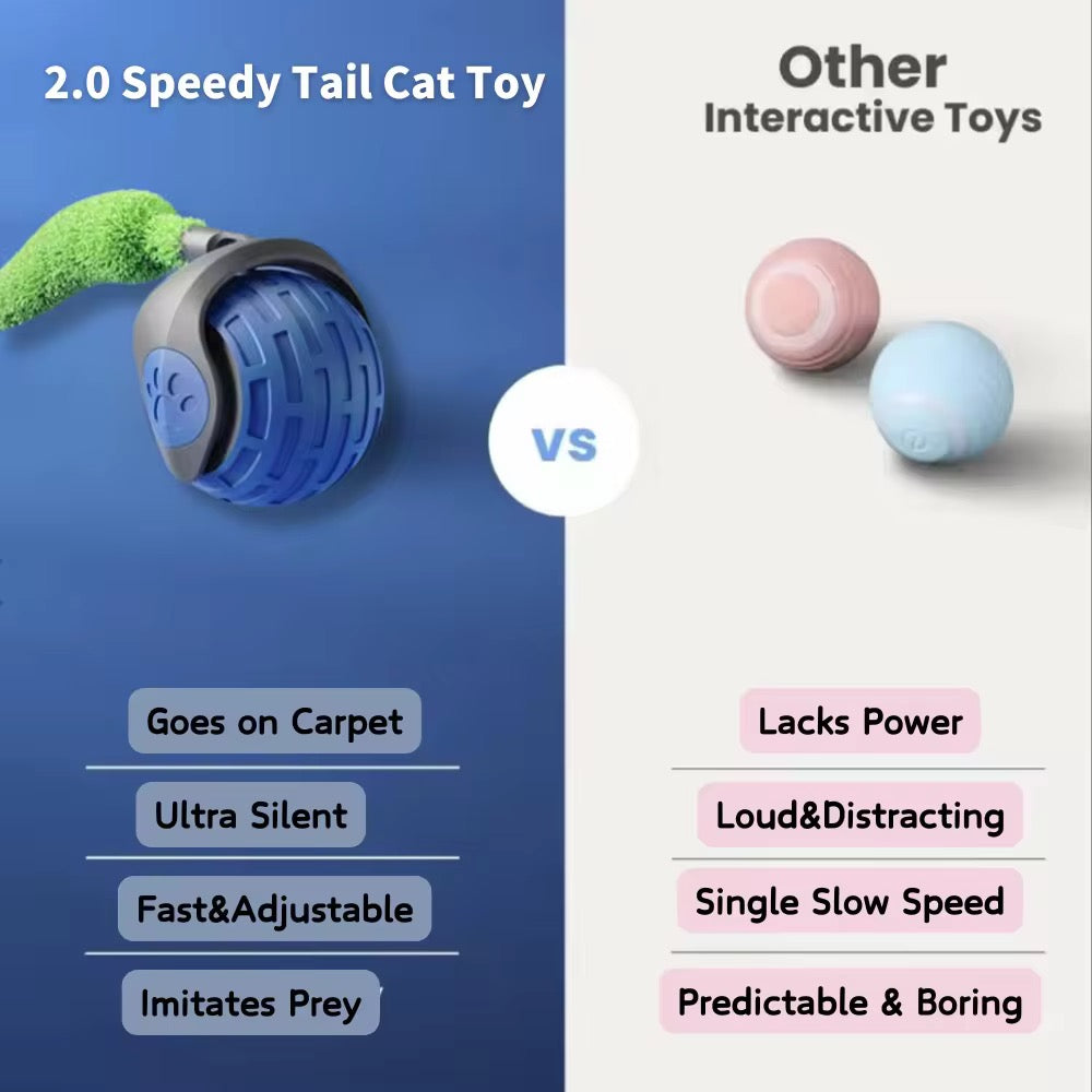 Cat Teasing Ball⢠2.0 â Smart Rolling Toy for Curious Cats