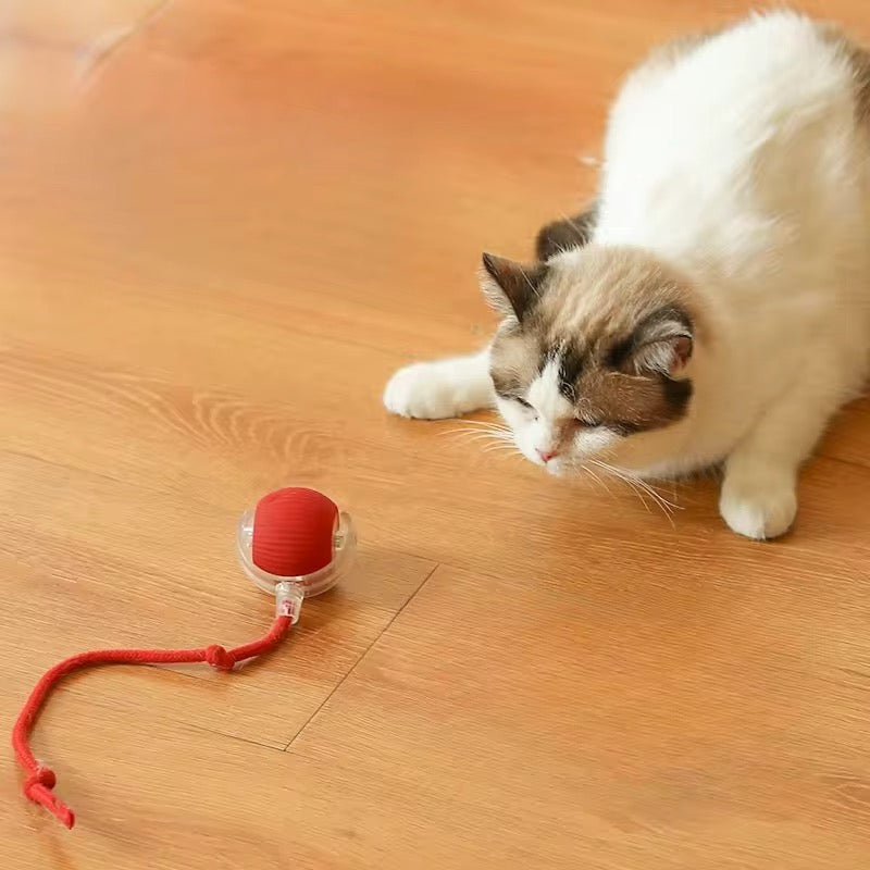 Interactive Cat Ball with Tail™ – Chase, Pounce, Play!