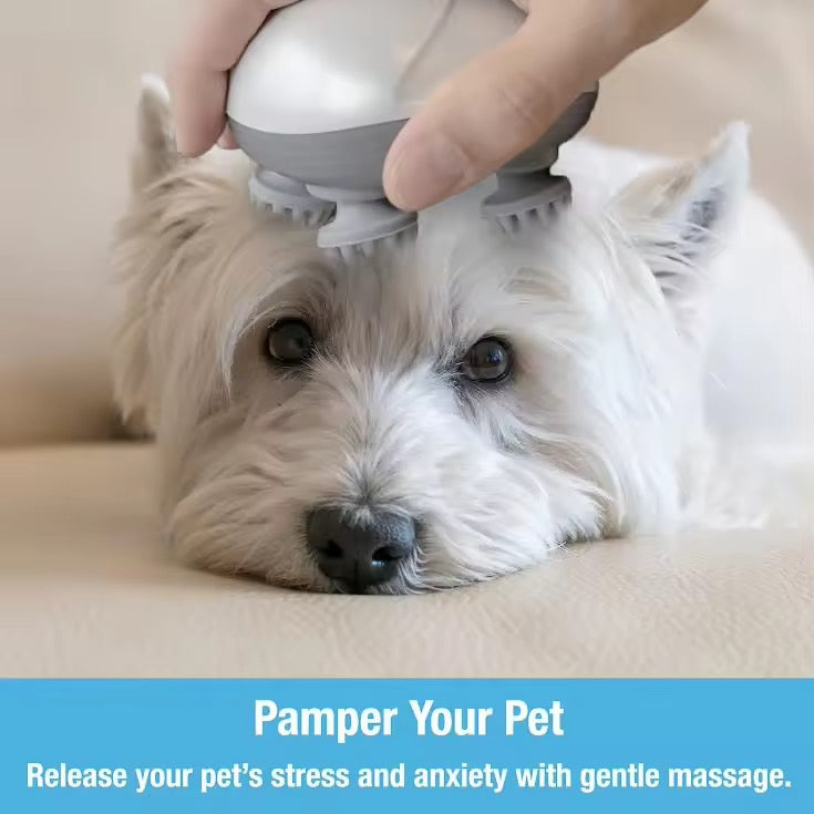 2-in-1 Electric Massager for Pets & Humans – Stress Relief, Hair Oil Booster, Relaxation Tool