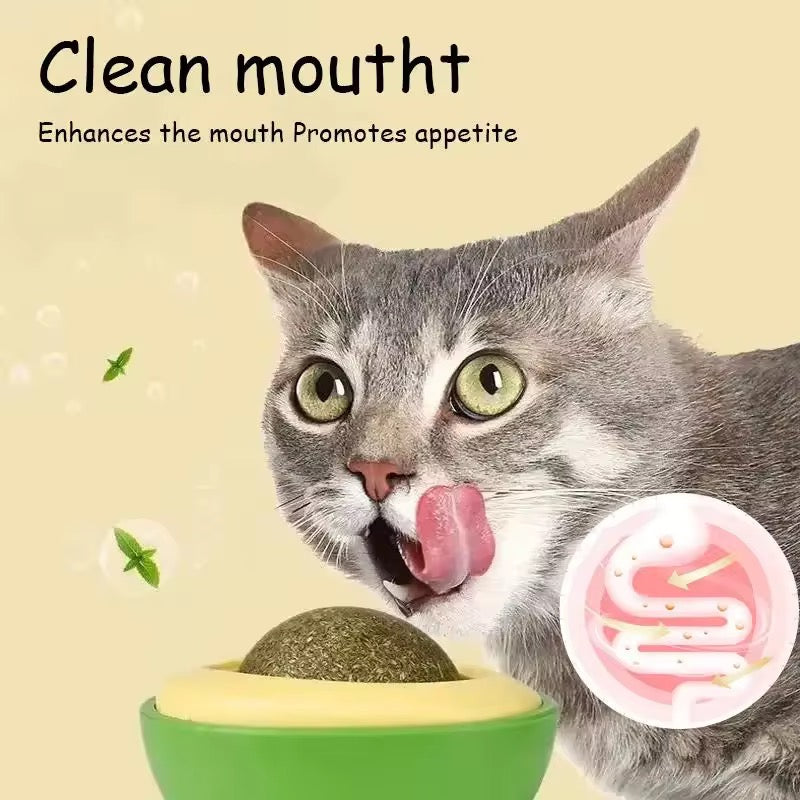 Avocado Catnip Ball™ – Tasty-Looking Toy, Irresistible Fun!