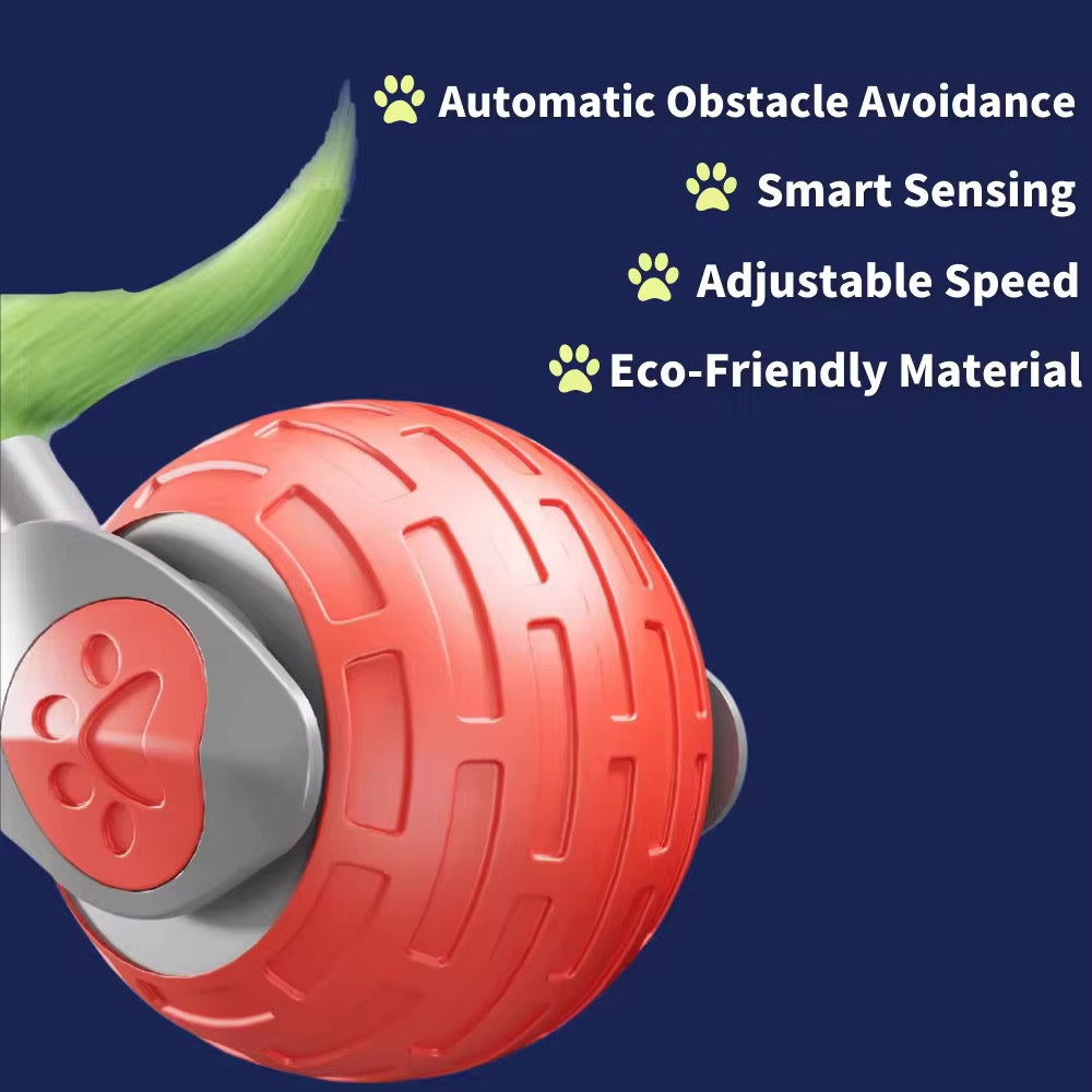 Cat Teasing Ball⢠2.0 â Smart Rolling Toy for Curious Cats