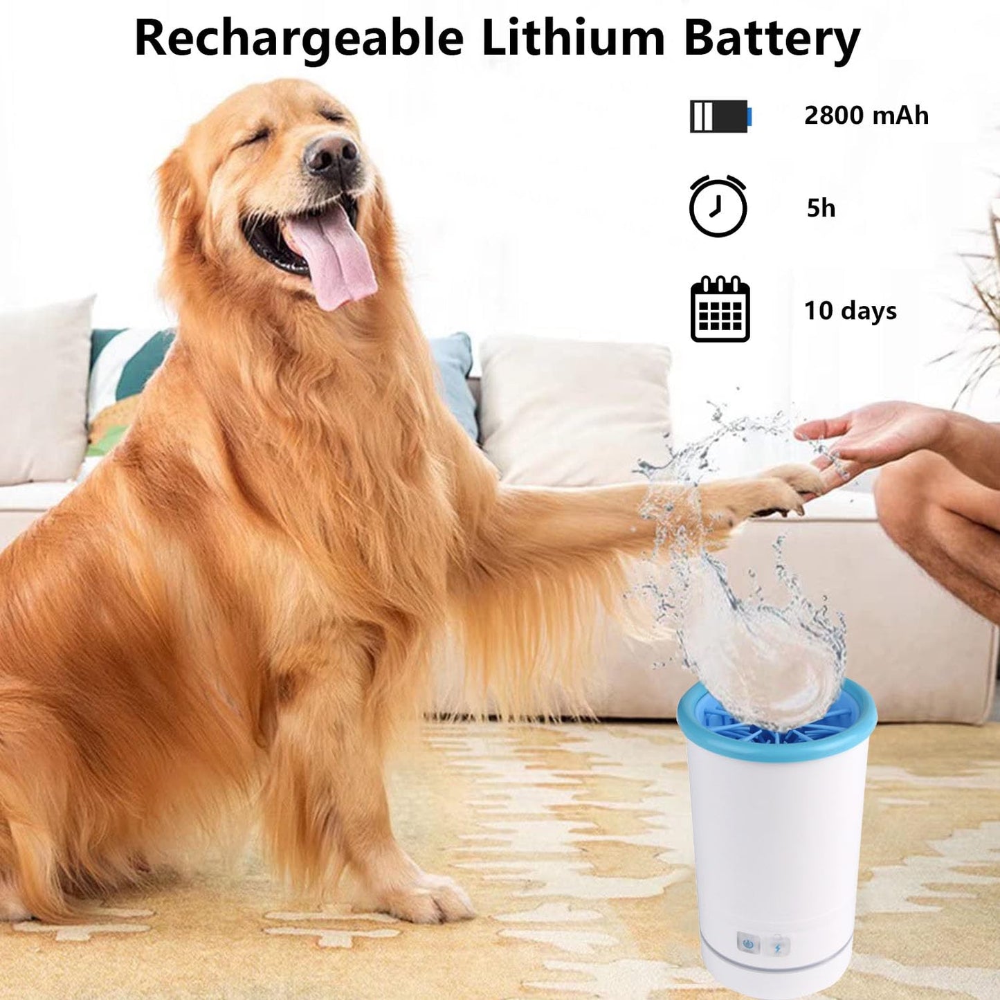 Automatic Paw Cleaner – Keep Dirty Paws Out of Your Home!