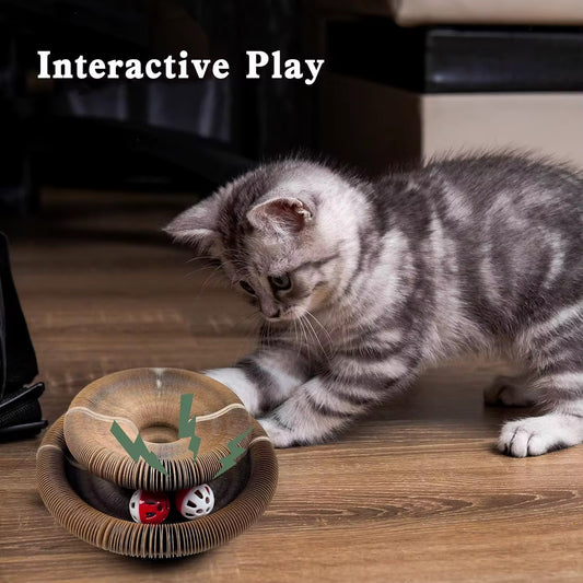 Foldable Magical Cat Scratch Toy – Shape‑Shifting Fun for Your Feline! 🐱✨