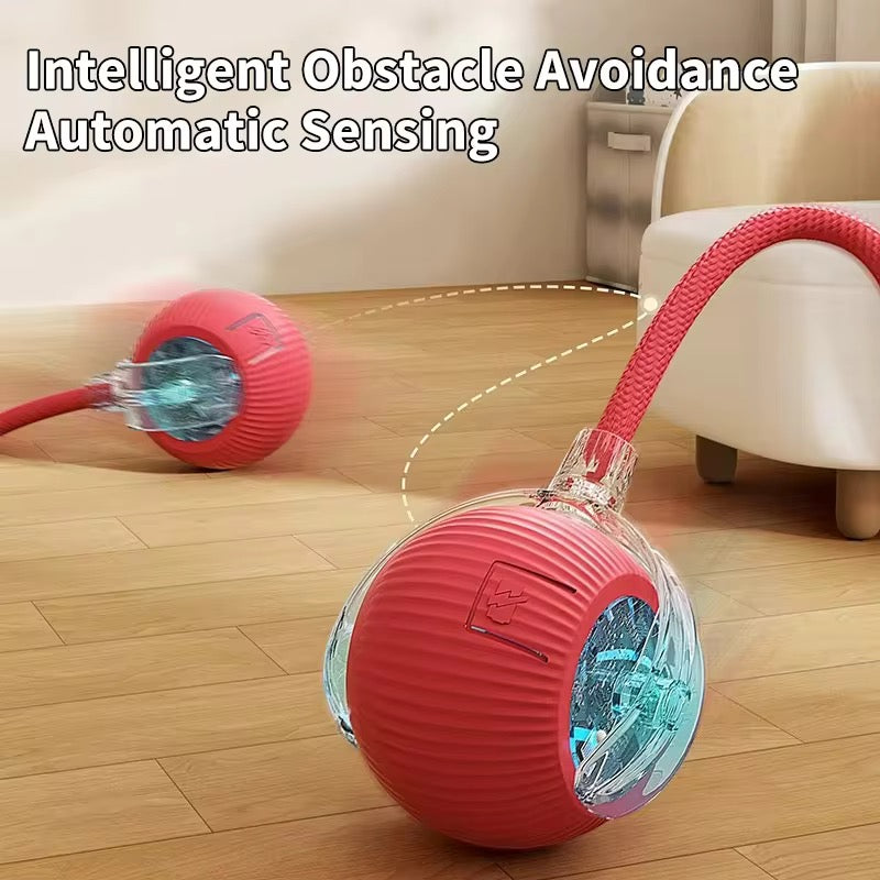 Interactive Cat Ball with Tail™ – Chase, Pounce, Play!