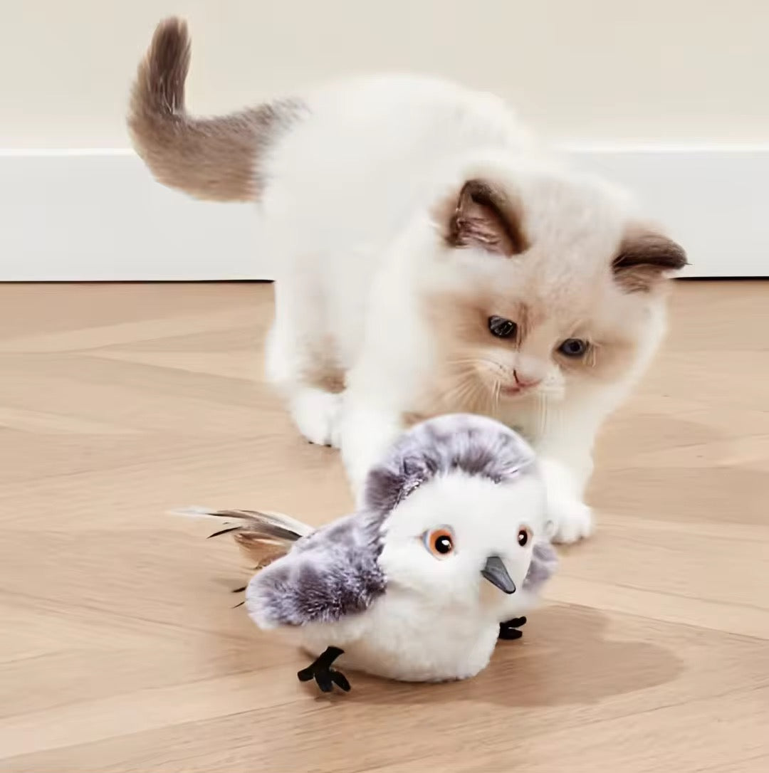 Interactive Bird Toy for Cats – Keep Your Furry Friend Entertained for Hours!