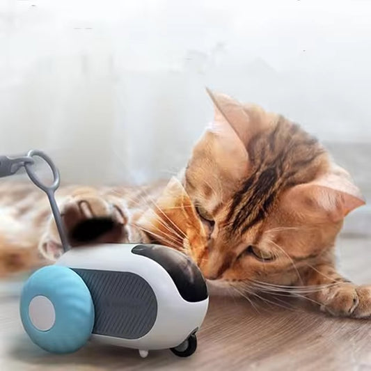 Smart Interactive Remote-Controlled Cat Toy – Feather Teaser with 360° Motion