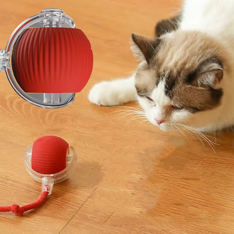 Interactive Cat Ball with Tail™ – Chase, Pounce, Play!