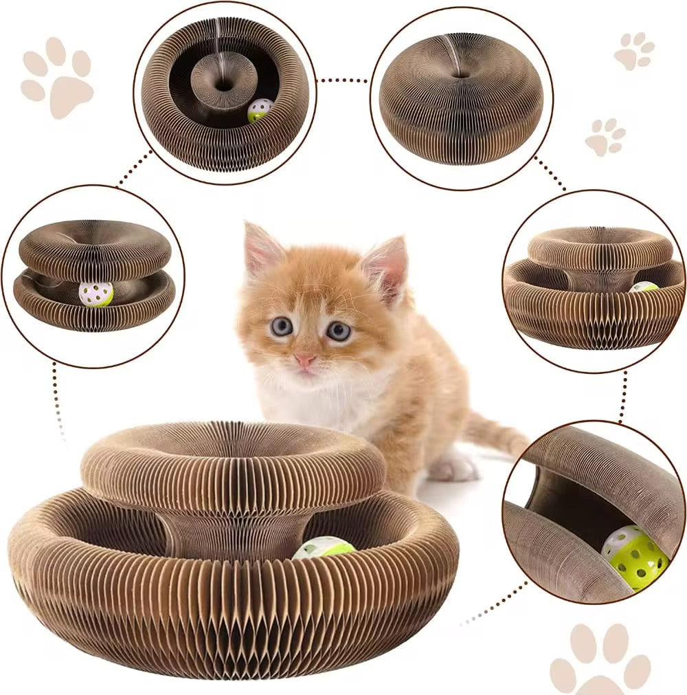 Foldable Magical Cat Scratch Toy – Shape‑Shifting Fun for Your Feline! 🐱✨