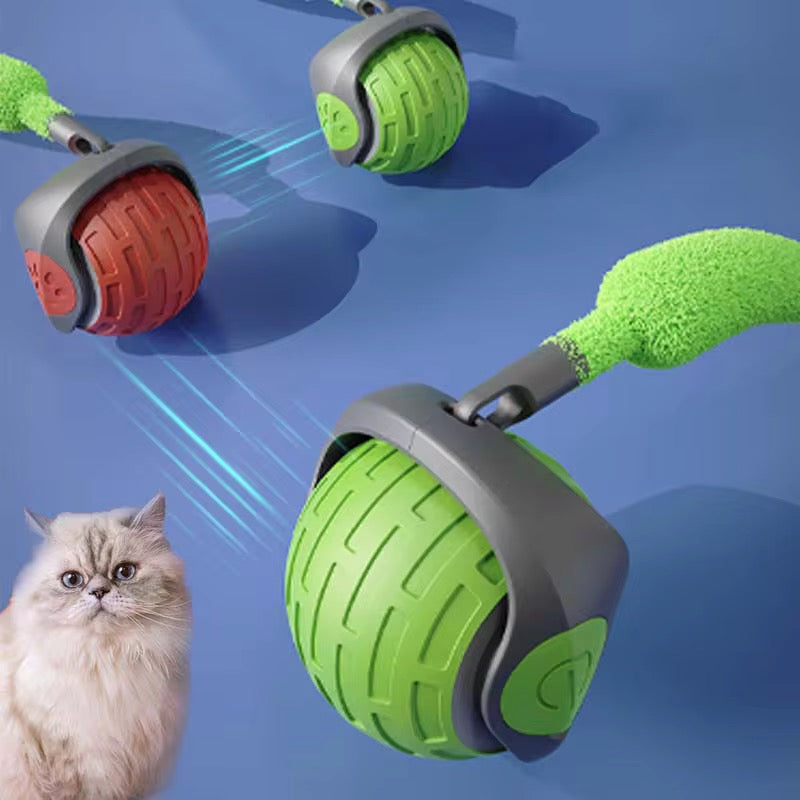 Cat Teasing Ball⢠2.0 â Smart Rolling Toy for Curious Cats