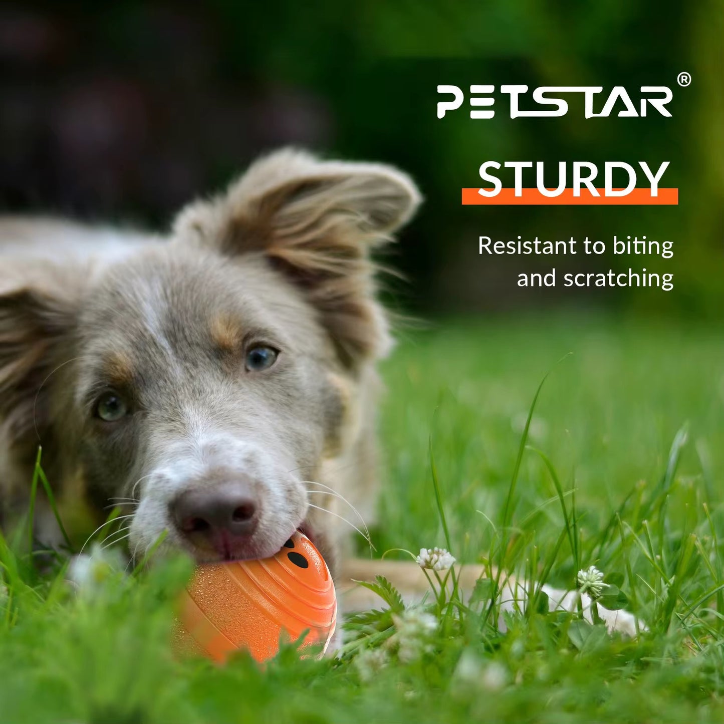 Interactive Shaking Ball for Dogs – Automatic Smart Toy for Endless Fun