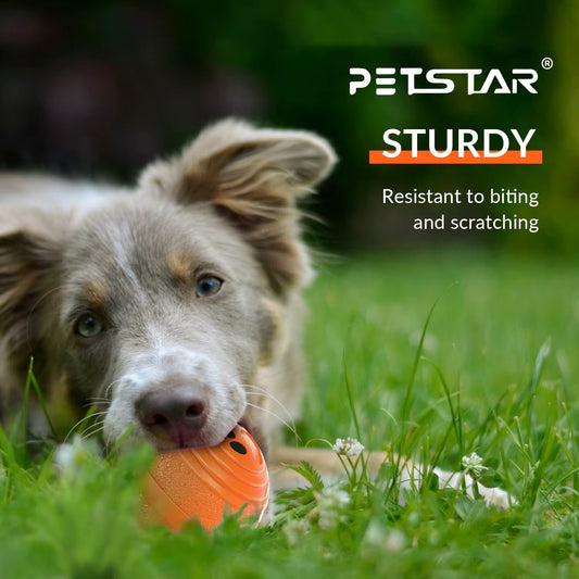 Interactive Shaking Ball for Dogs – Automatic Smart Toy for Endless Fun