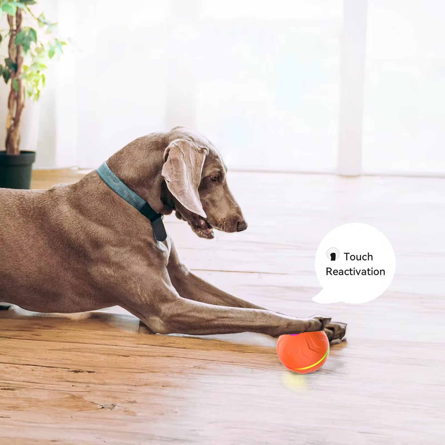 Interactive Shaking Ball for Dogs – Automatic Smart Toy for Endless Fun