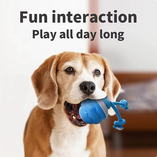 New Smart Automatic Rolling Pet Chew Toy – Rechargeable Squeaky Interactive Training Ball for Dogs