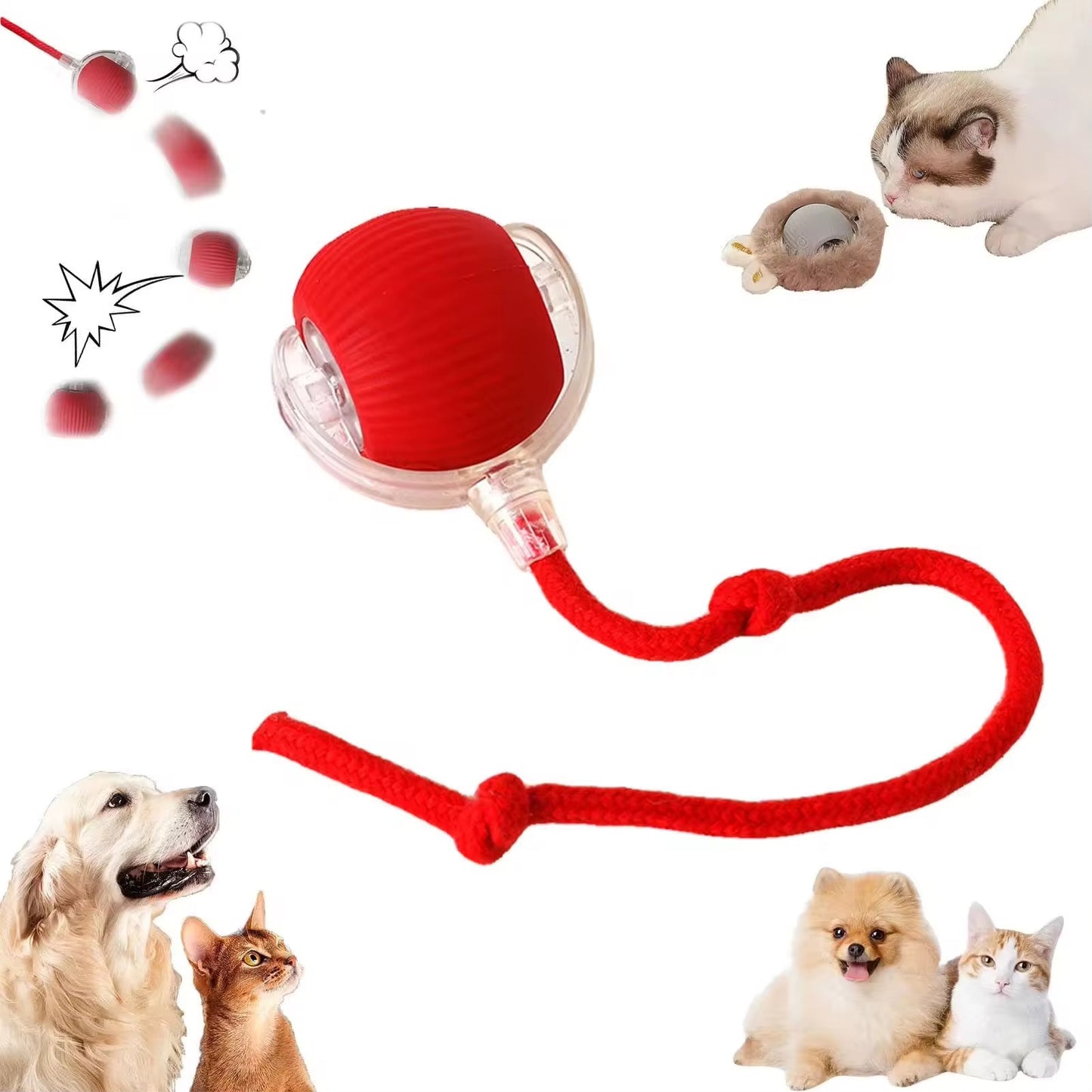 Interactive Cat Ball with Tail™ – Chase, Pounce, Play!