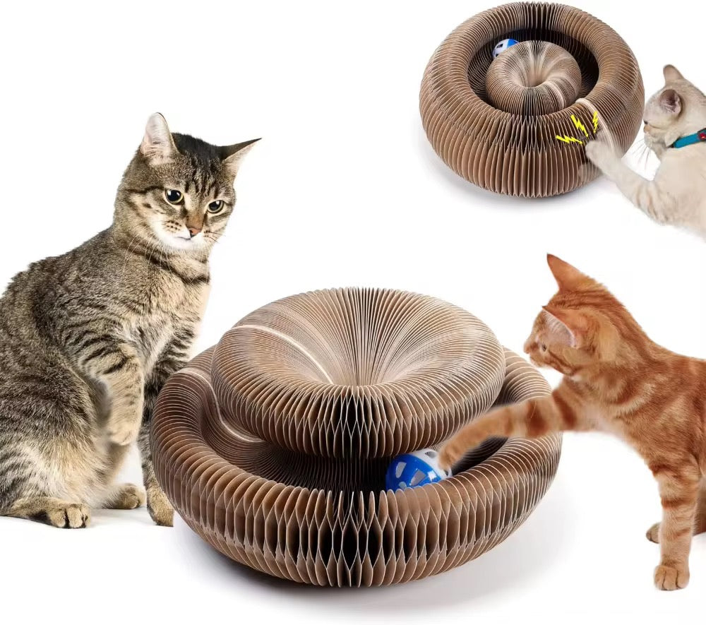 Foldable Magical Cat Scratch Toy – Shape‑Shifting Fun for Your Feline! 🐱✨